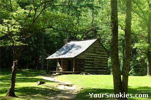 The Carter Shields cabin is nestled by the woods.