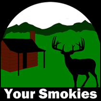 Your Smokies: The Smoky Mountains Information Web Site