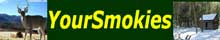 Your Smokies - The Smoky Mountain Directory